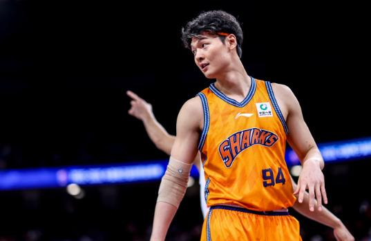 王哲林面对记者采访说出了这几年的心声！
大王被网友喷的太难受了！
近期，王哲林接