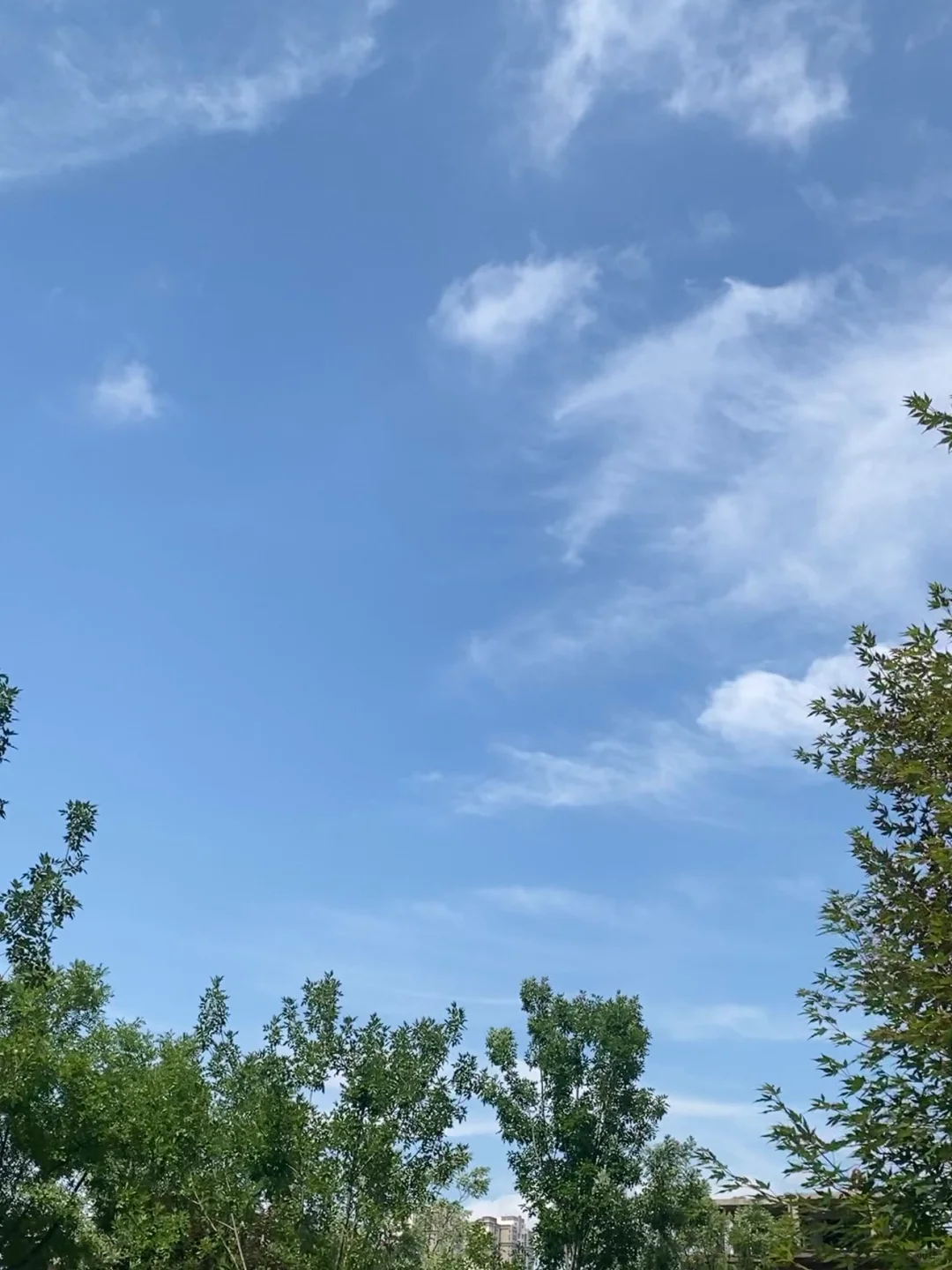 我拍下的今日天空