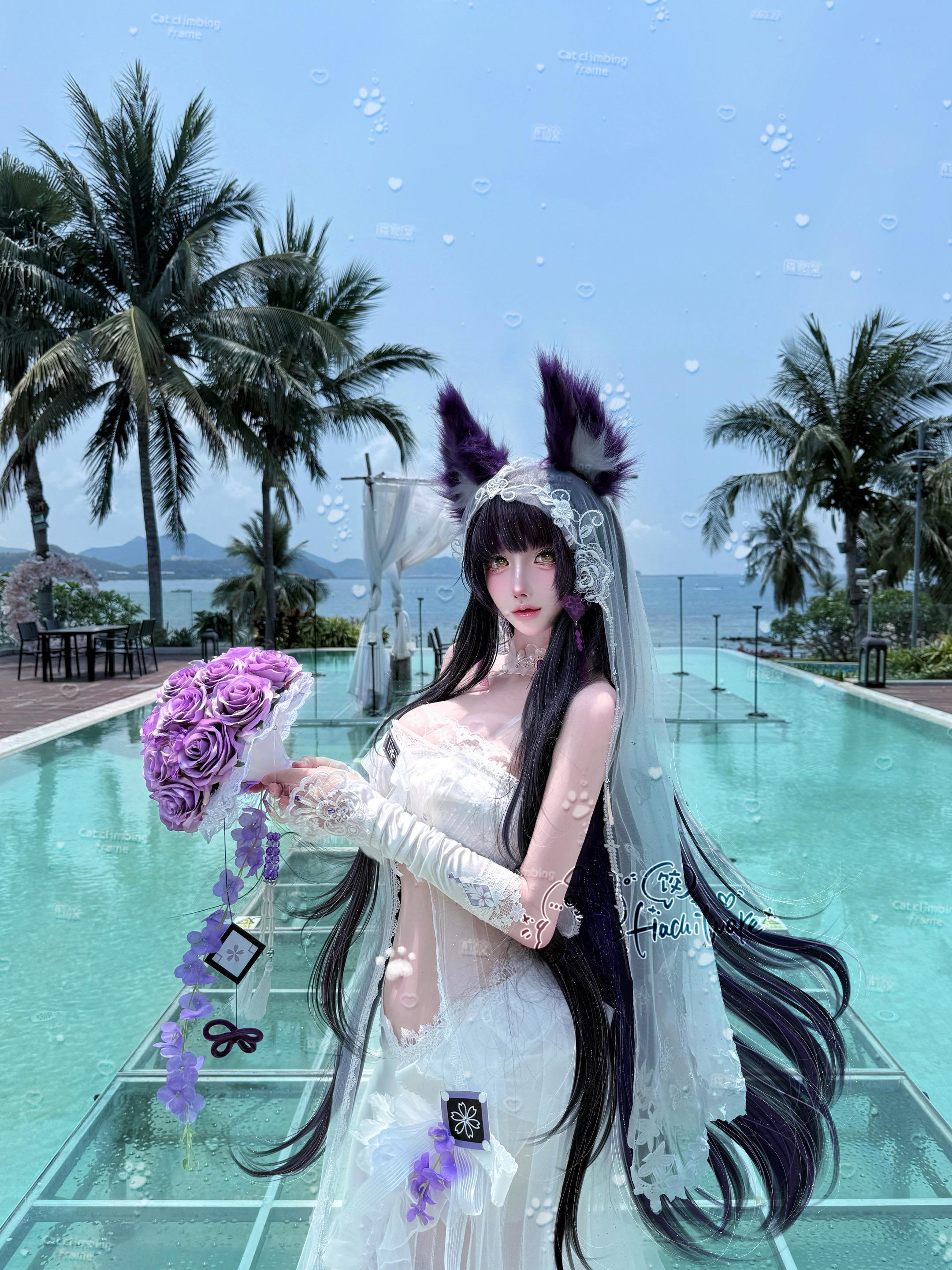 结婚吗 指挥官