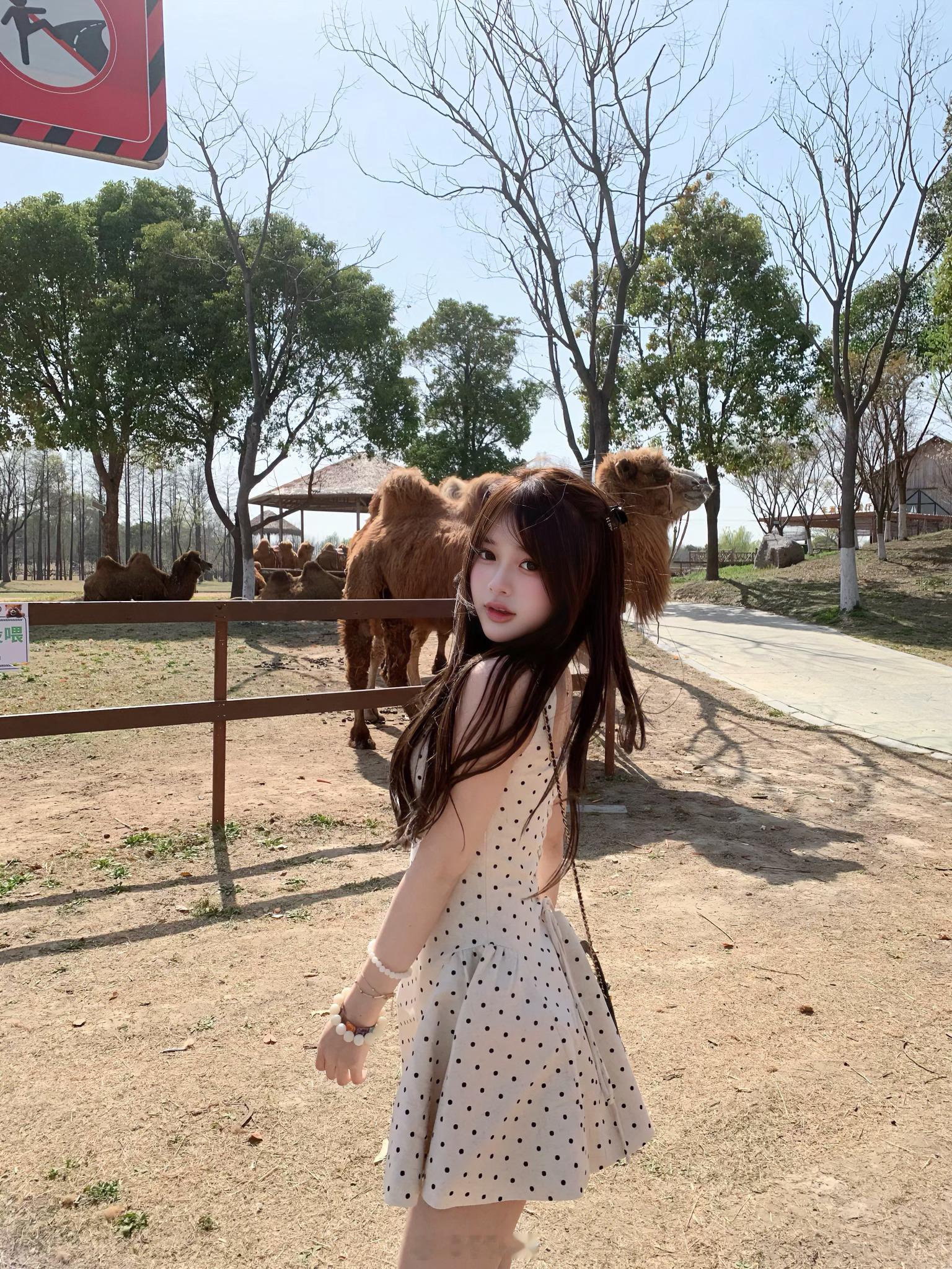 ˗ˋˏ꒰ঌ我的日記 ໒꒱ྀིˎˊ˗ ​​​