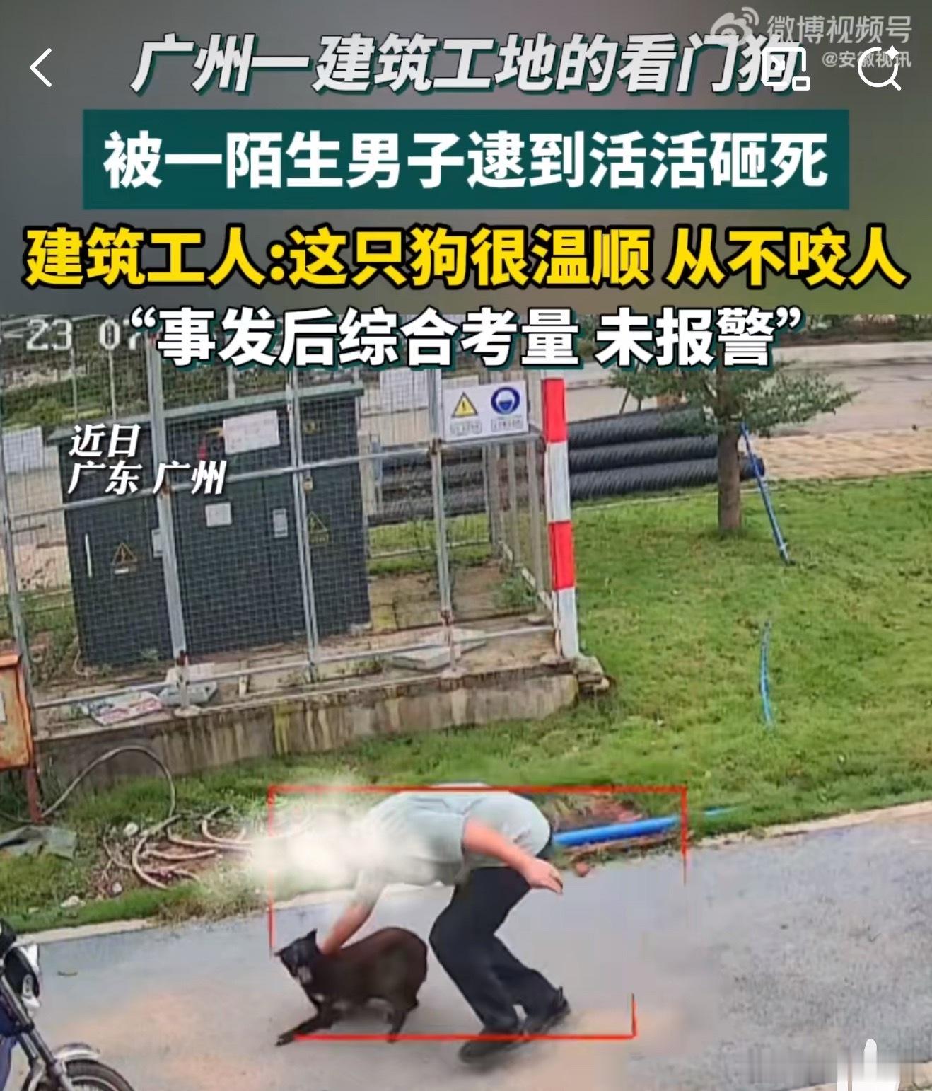 男子趁没人将工地看门狗逮住砸死不能理解为啥“综合考量 不报警”这种敢用砖头砸两分