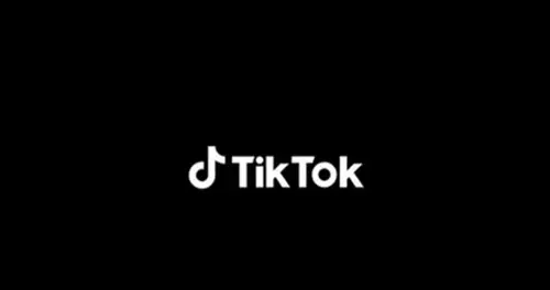 消息称TikTok去年营收230亿美元 同比大增超过40%