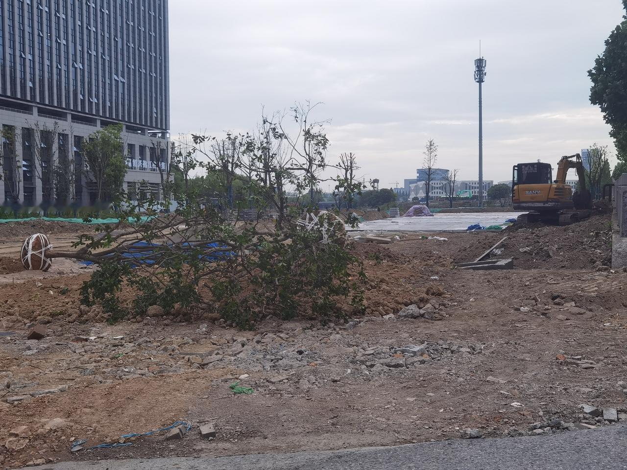 袍江安居城又有新变化，沿桥挖坑要种树。
二是门前的石条都弄掉，搞了窨井。