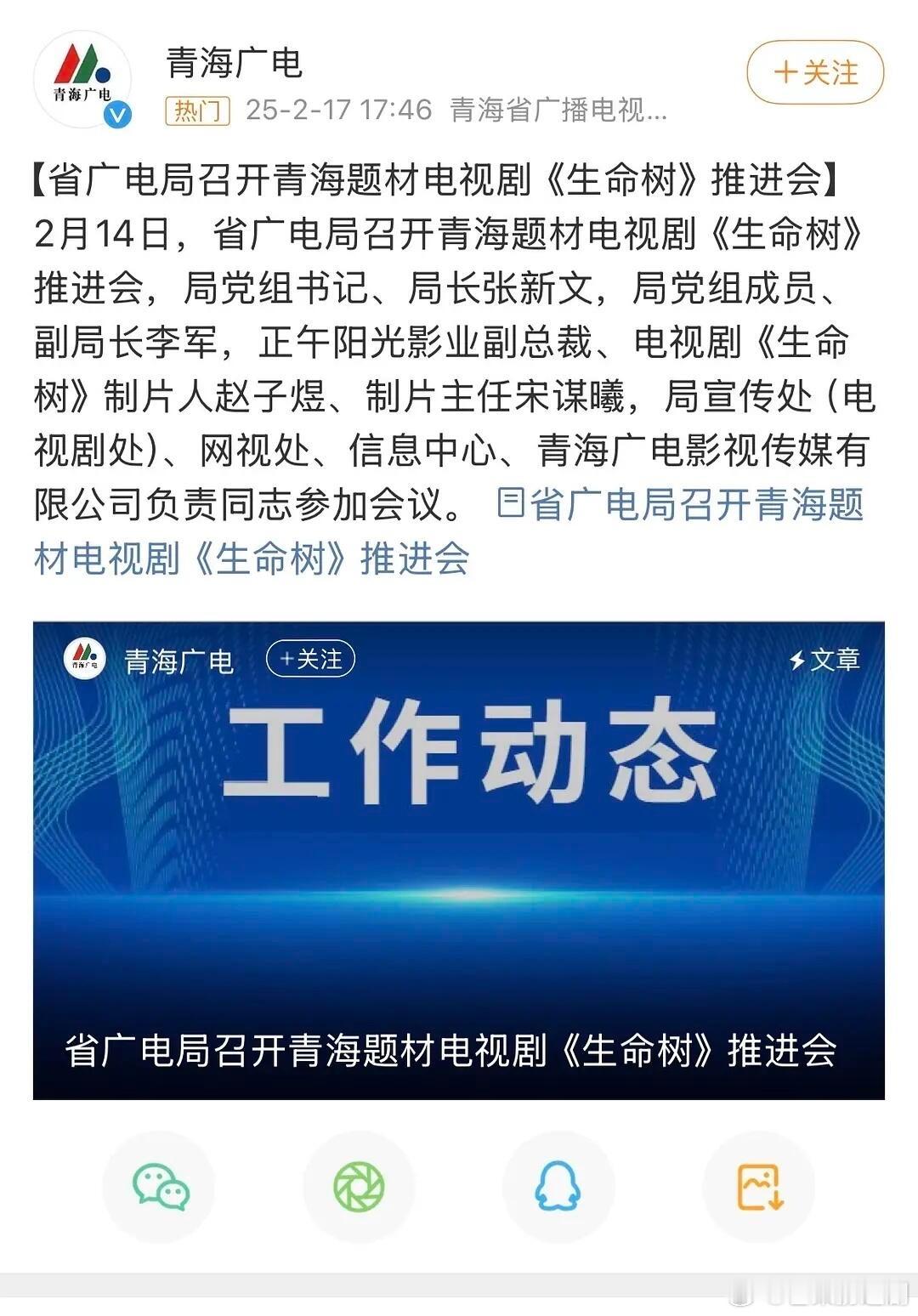 生命树终于要来了，等官宣~正午阳光大制作，肯定能冲奖的 