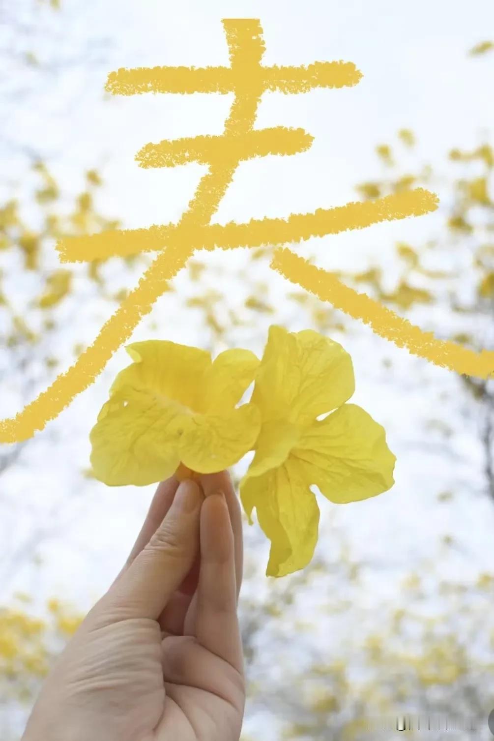 什么是人间清醒
1.你穿的好点，再开辆豪车，是不是欺负你的人就少了，所以形象一定