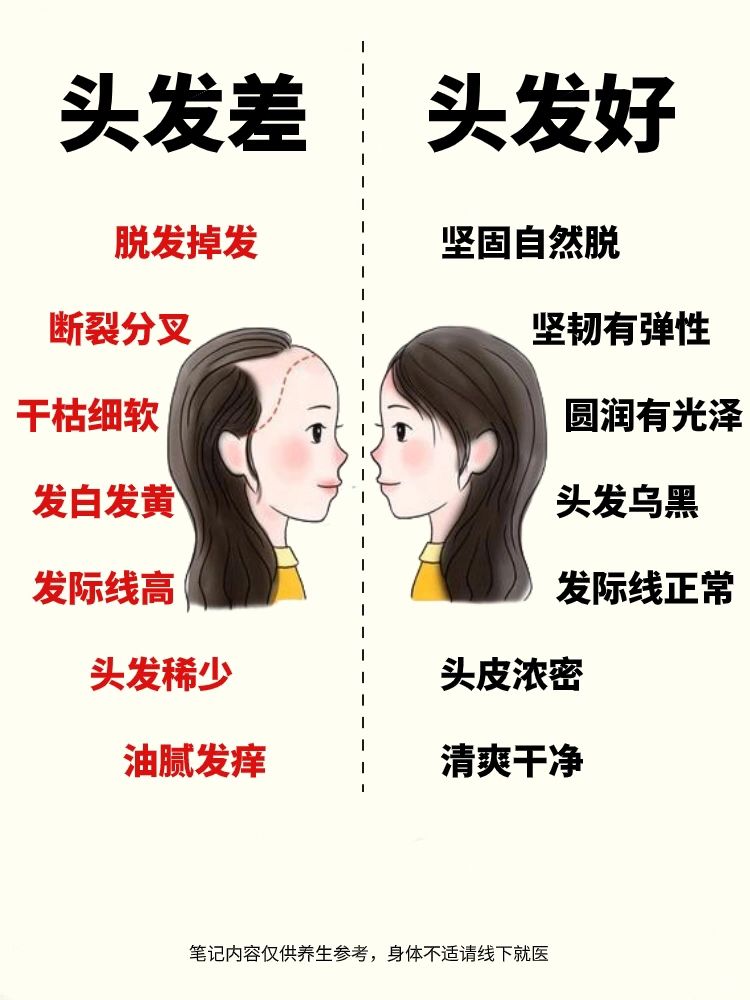 头发干枯毛躁，脱发，养发指南