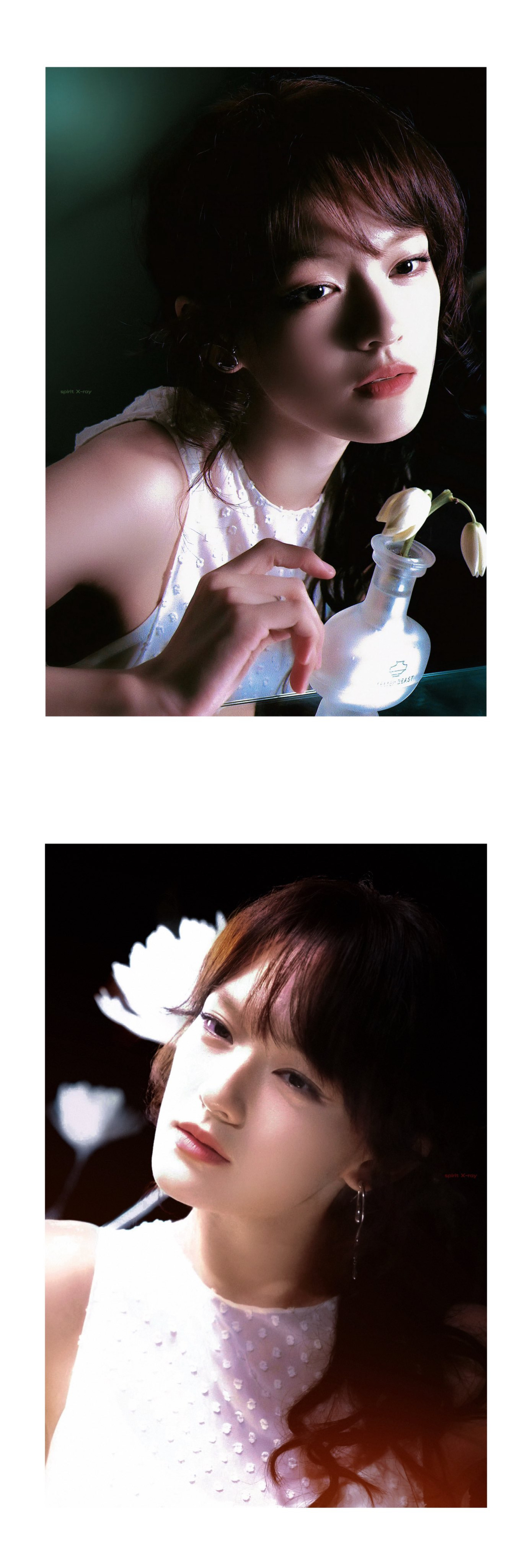 -荼靡 