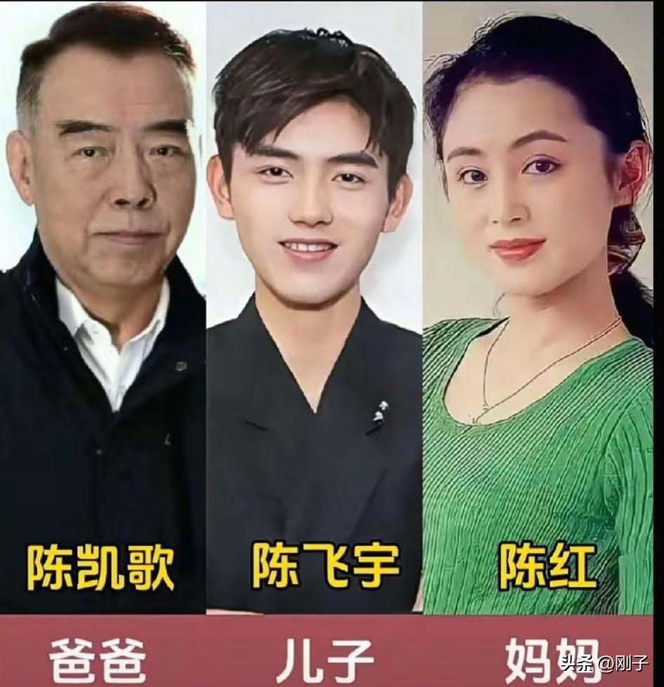 娱乐圈一众明星家庭，父母出众的长相完美遗传给孩子。
陈凯歌、陈红的儿子陈飞宇，继