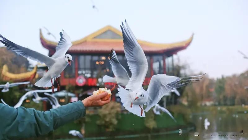 在日常工作中，有时，我们太执着于分对与错、讲道理，然而却忘了：在人与人的关系里，