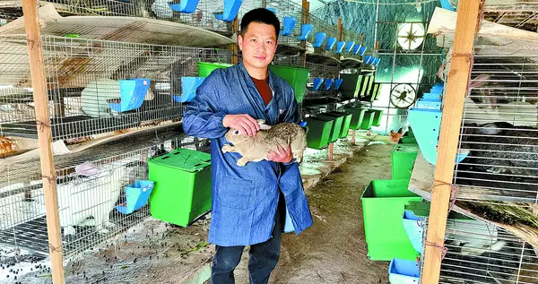驯鹿|湘潭县“达雅农业”肉兔俏