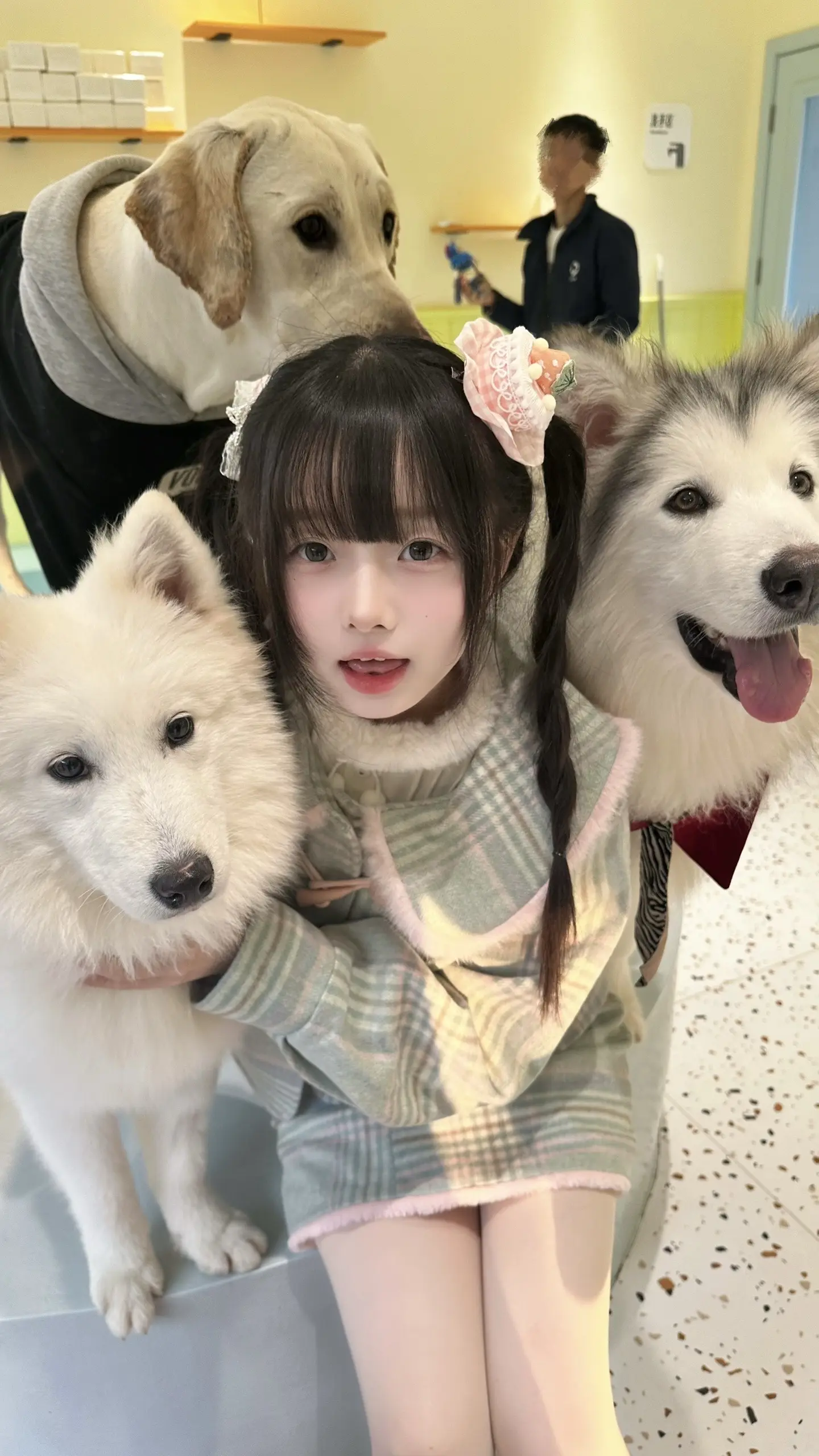 小狗汪汪喔ᜊ ᶻᶻᶻ.