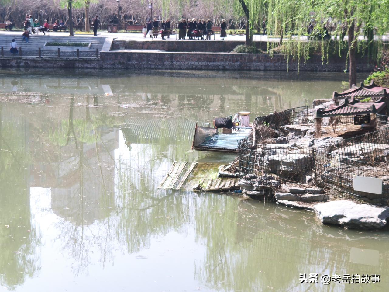 今天上午九点左右，我站在郑州市人民公园西门北边的金水河桥南头等人，身边是来来往往