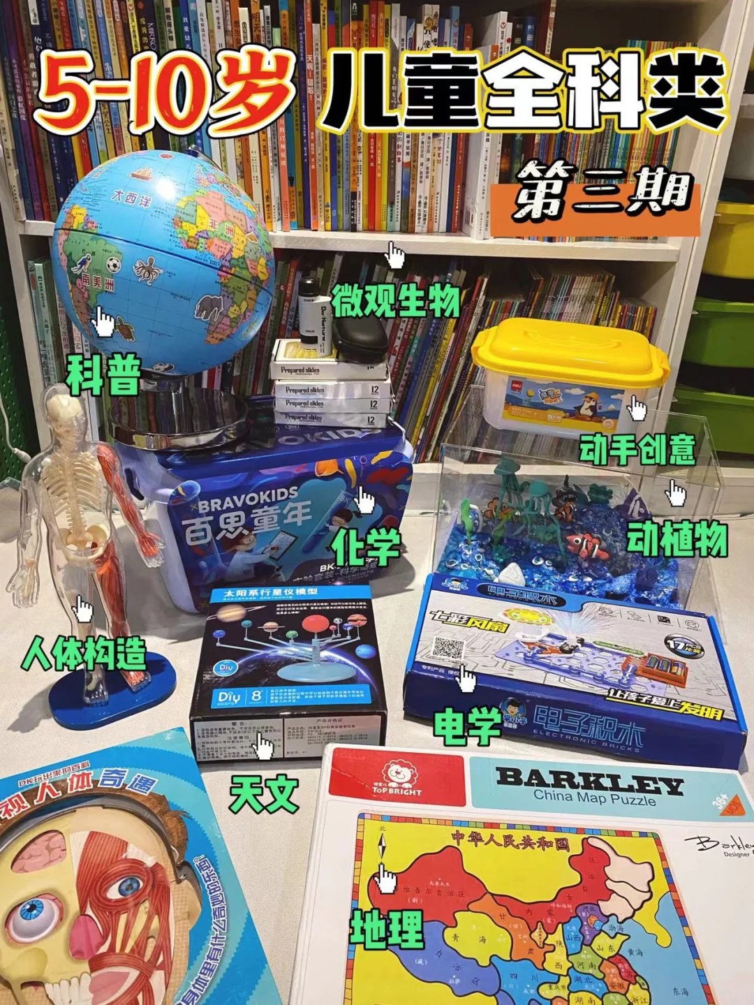 小学生全学科益智玩具｜教具🔥保姆级清单❸