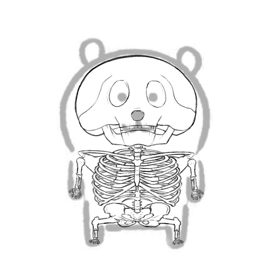 骨感熊🦴 
