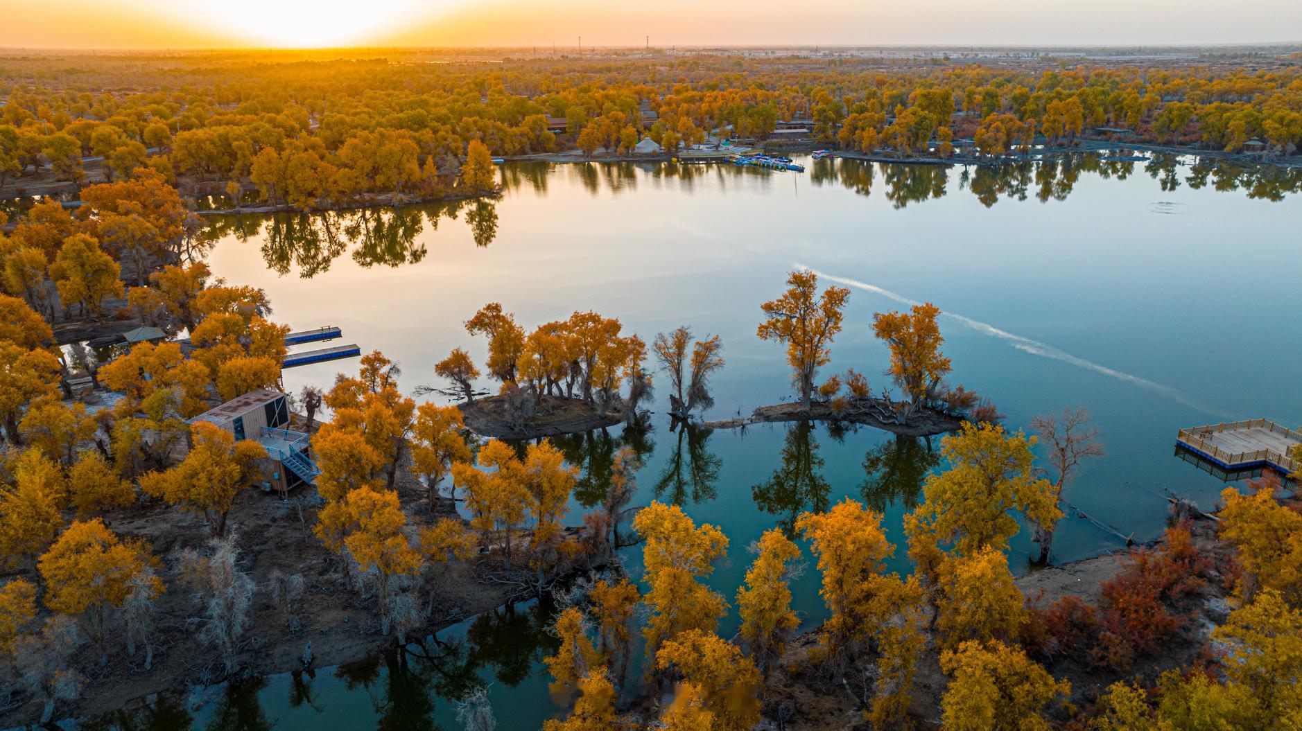 在轮台和沙雅都住了两天，因为早上起不来，天亮就已经是9点多，但总要看一看胡杨林重
