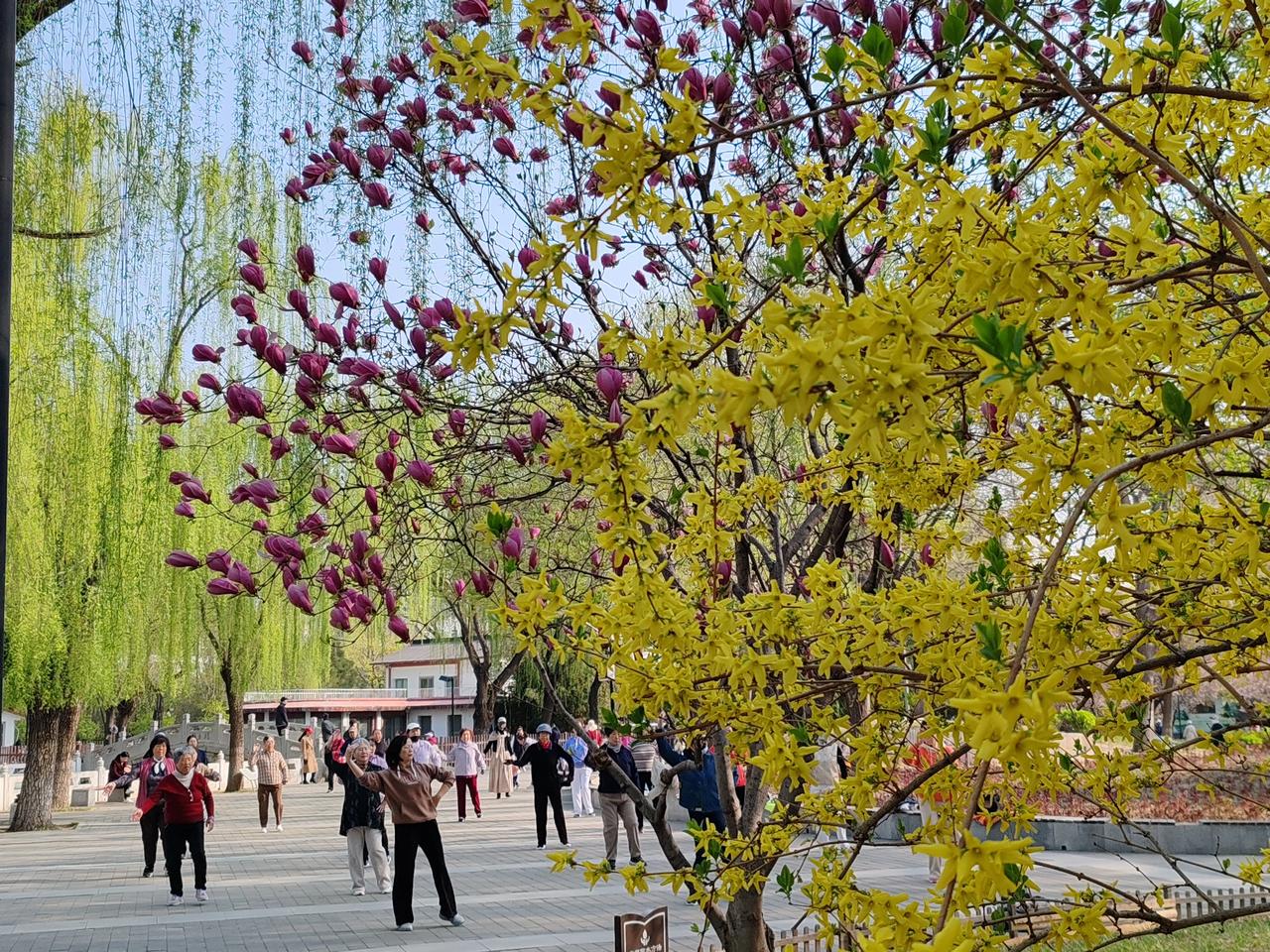 春日生活打卡季春天随手拍。