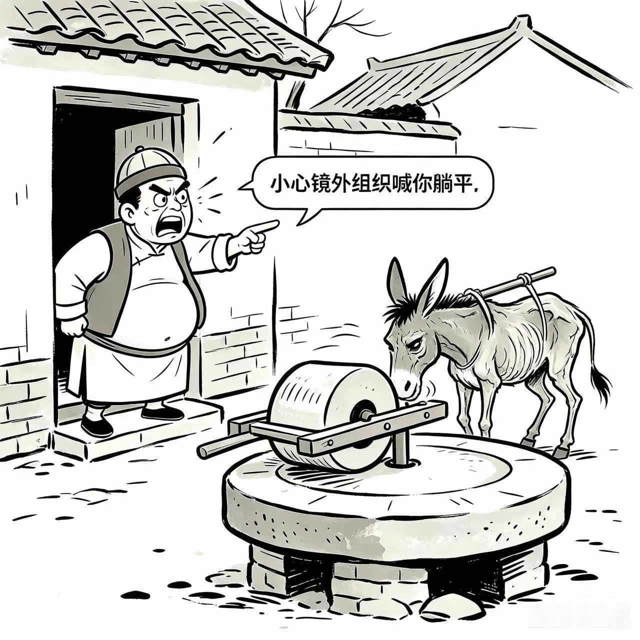 谁知道这个神秘的组织到底是干什么的？
           一有问题和矛盾时，马