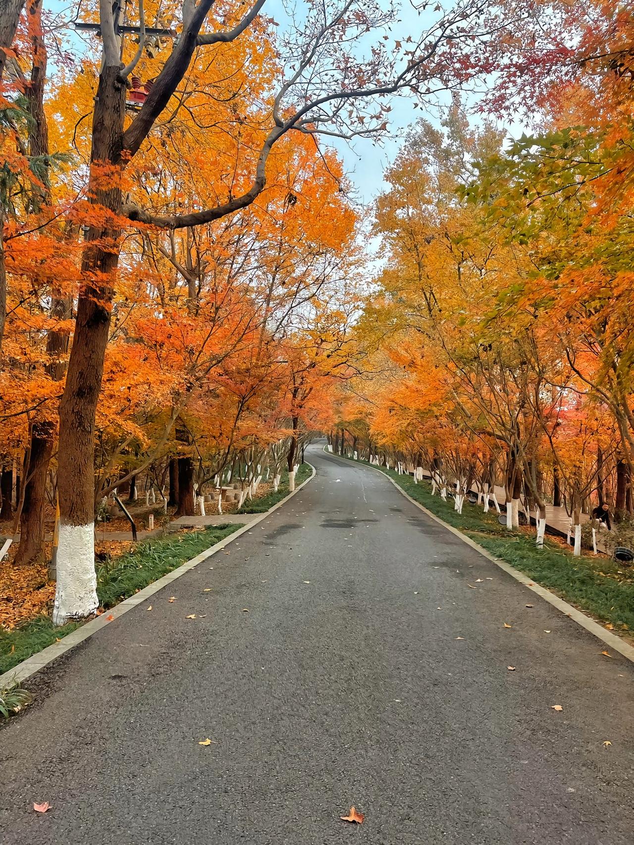 美国的精英阶层如今或许尚未意识到，与我们友好共处、携手维护世界和平，才是最佳选择
