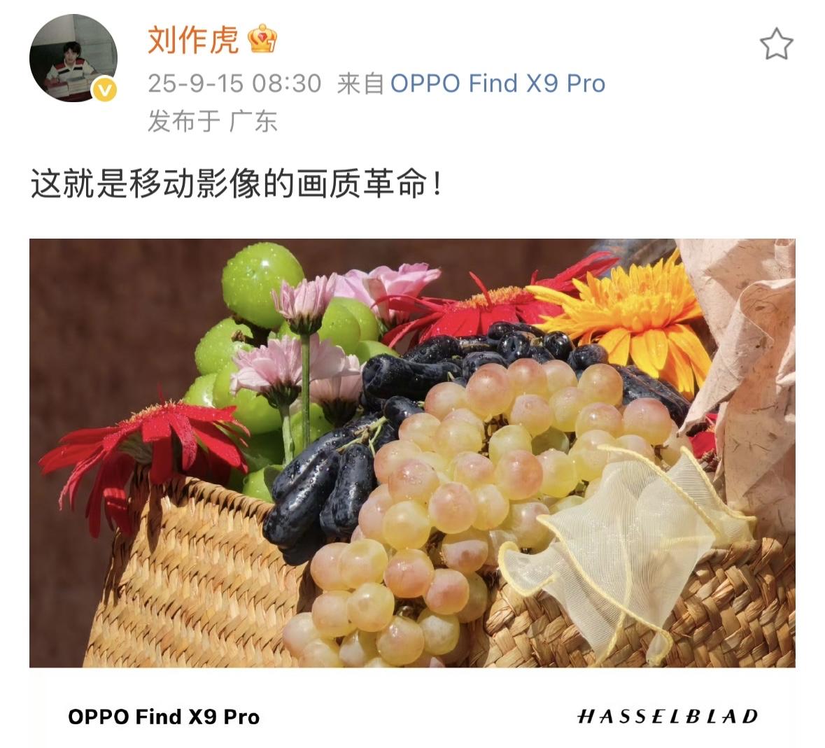 OPPO刘作虎：Find X9 Pro是移动影像的画质革命。