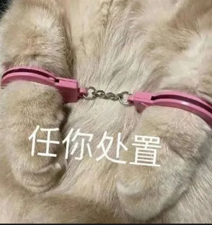 我是自愿的 