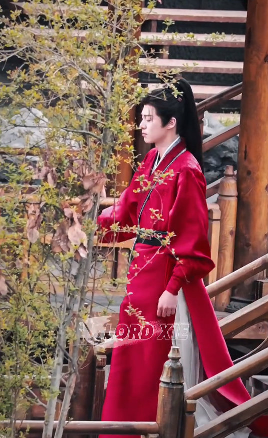 红衣少年郎谢景行 王鹤棣谢景行红衣古装高马尾 红衣少年郎谢景行，王鹤棣谢景行红衣