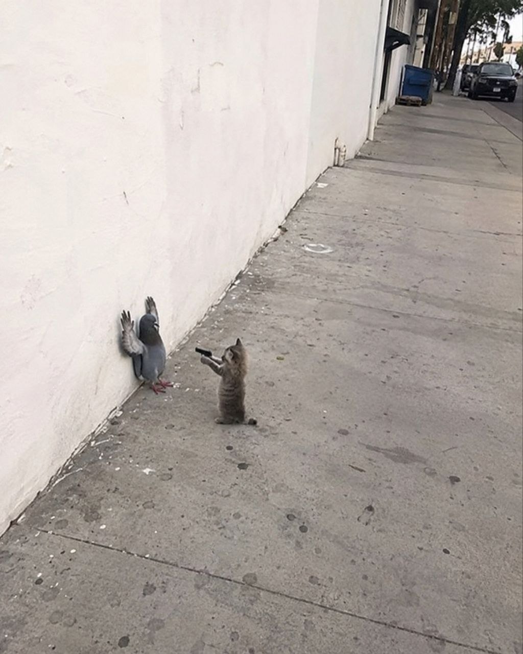 快报警 ​​​