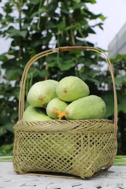 上联：春播千亩稻；诚邀下联夏摘百篓瓜。