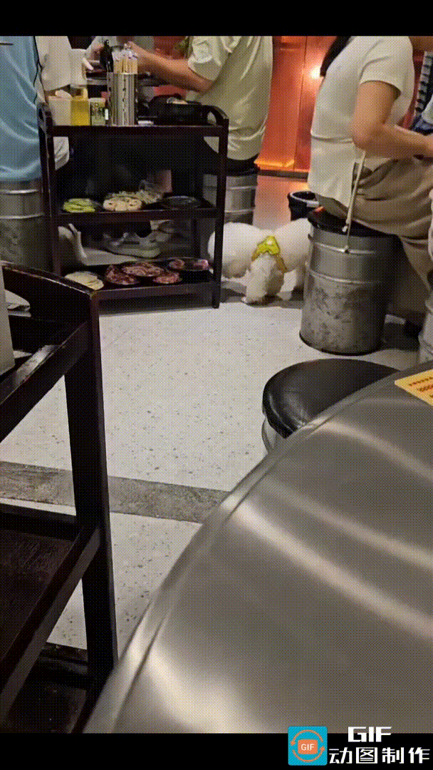 6月6日，湖南衡阳一家烤肉店，一食客带着宠物狗前来就餐，食客用餐时，狗狗就拴在自