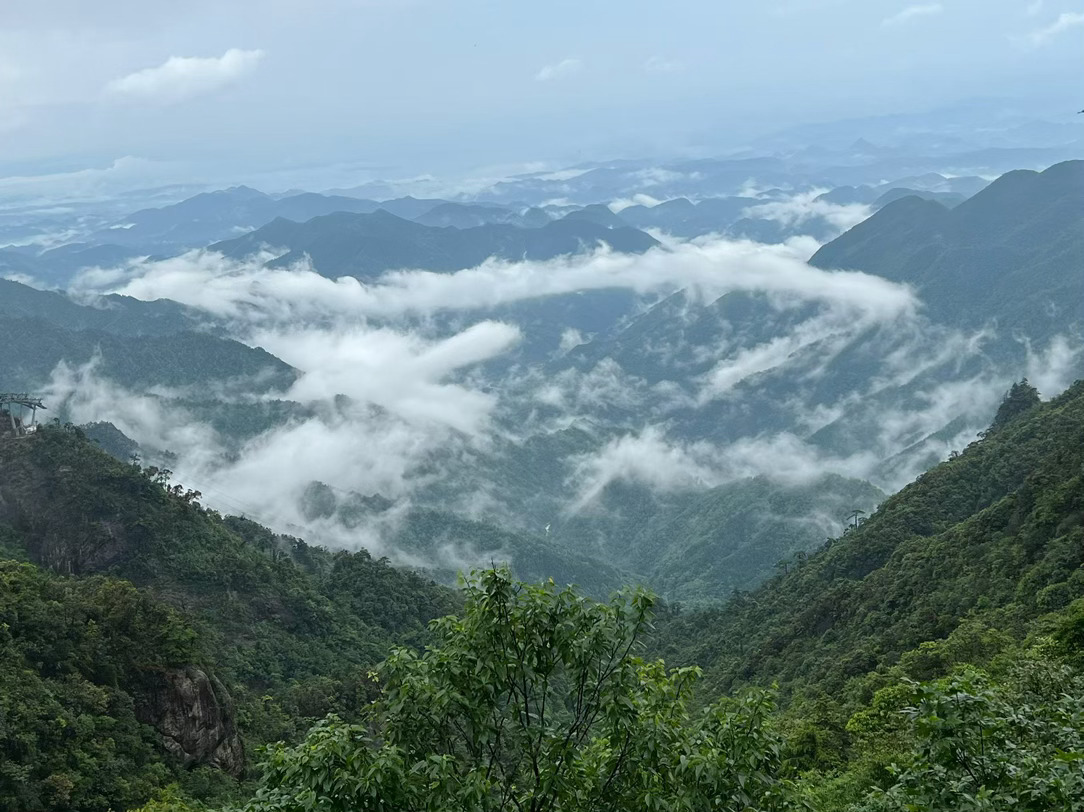 这三只个股值得关注1. 新坐标核心概念：新坐标以精密冷锻工艺为核心技术底座，聚焦
