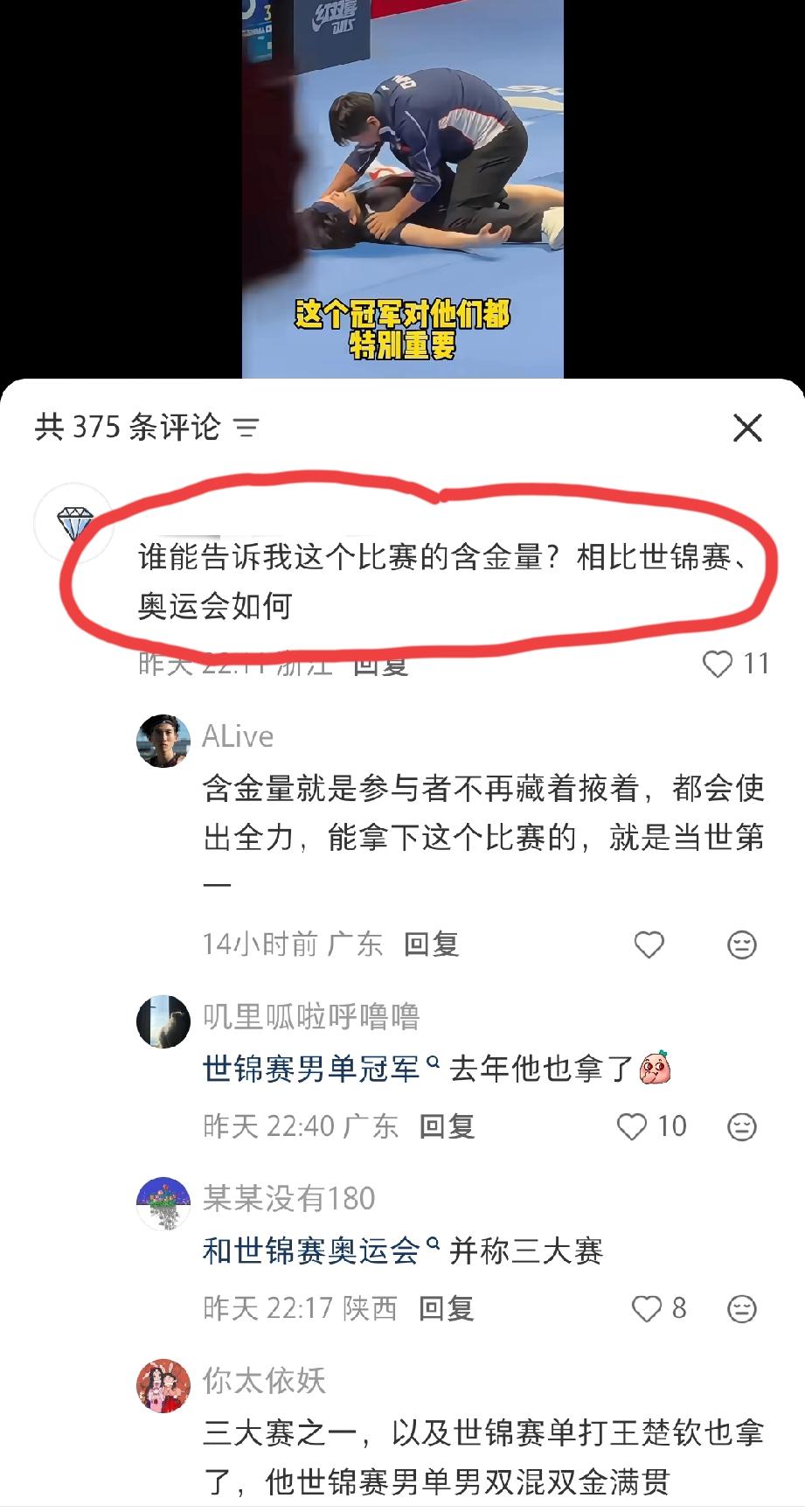 在“王楚钦世界杯夺冠”相关视频的评论区，一网友看似“不合时宜”的问了这么一个问题