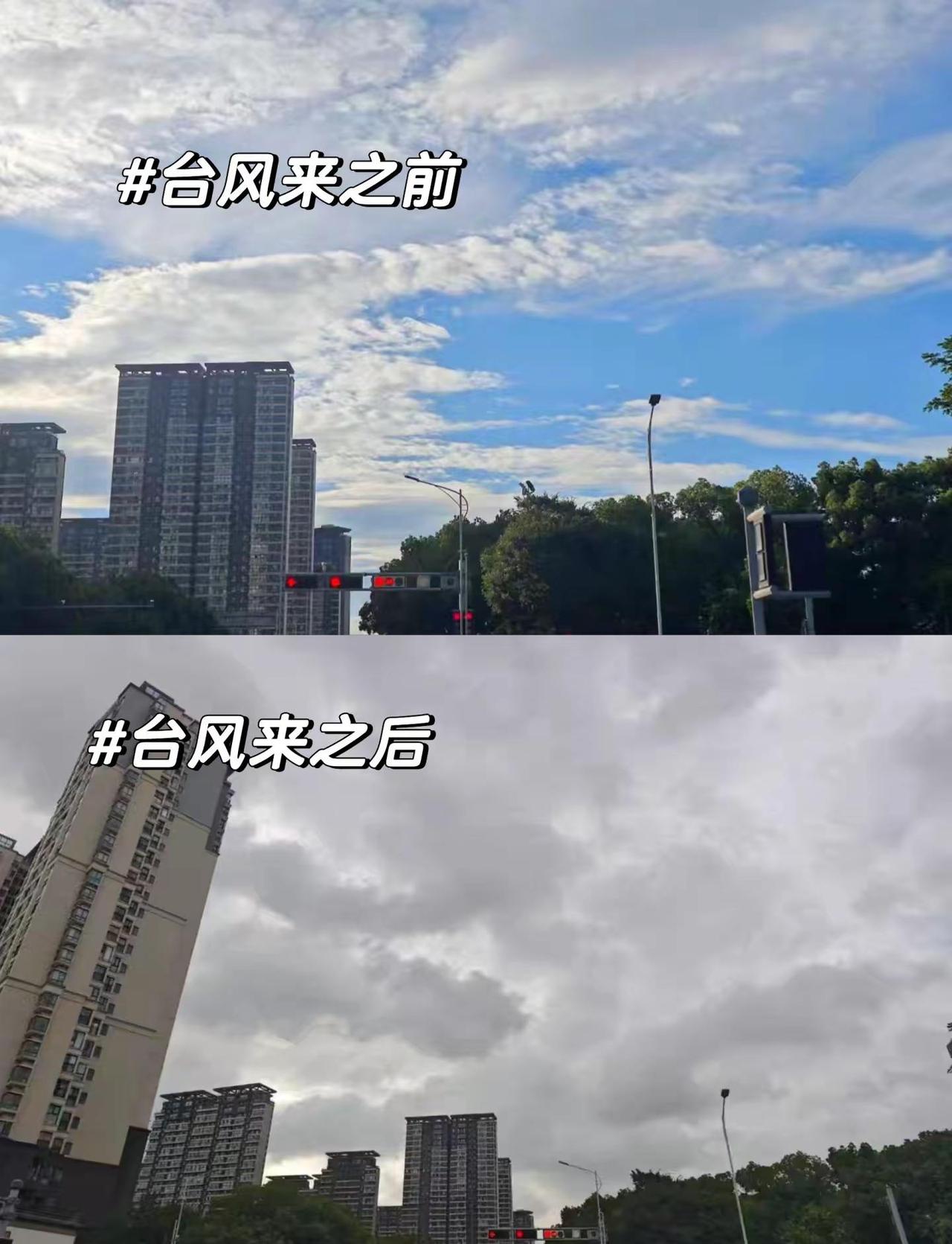巴威到苏州了吗？之前囤的零食还是买早了，已经吃完了哈哈哈家里就剩玉米鸡蛋粽子牛奶