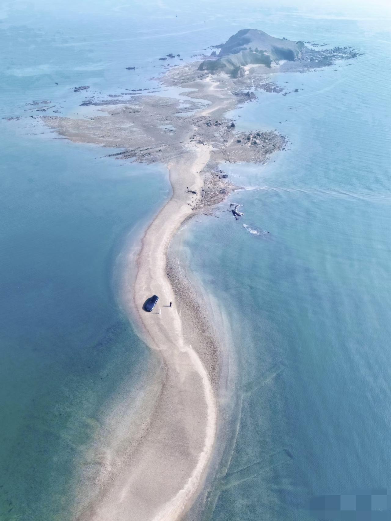 其实这里是AI中青岛？[捂脸]