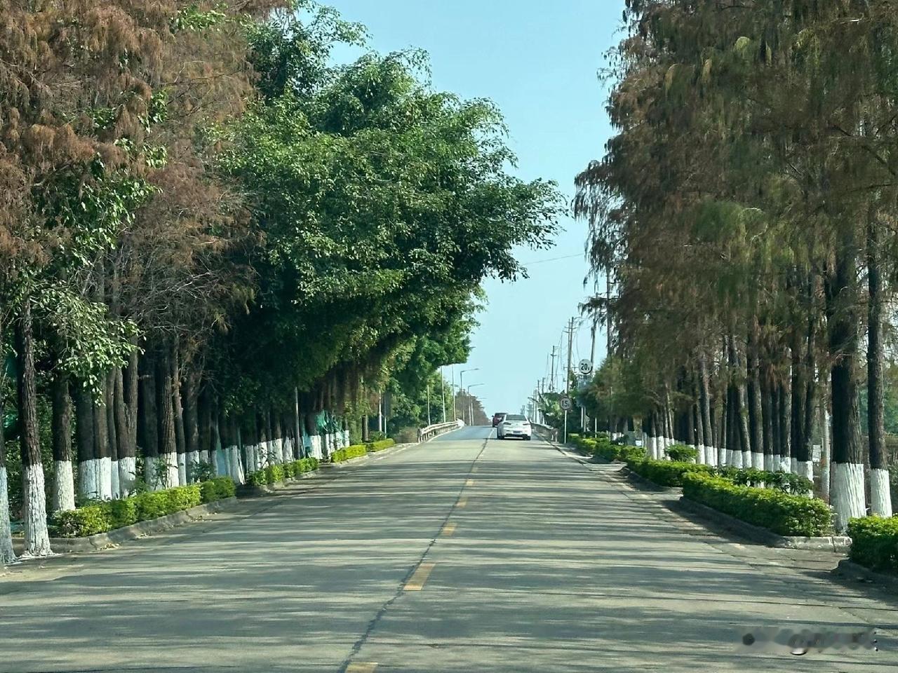 大过年的，人家吃吃喝喝到处旅游，我却感冒发烧特难受，去医院吊水，打的是头孢，以前