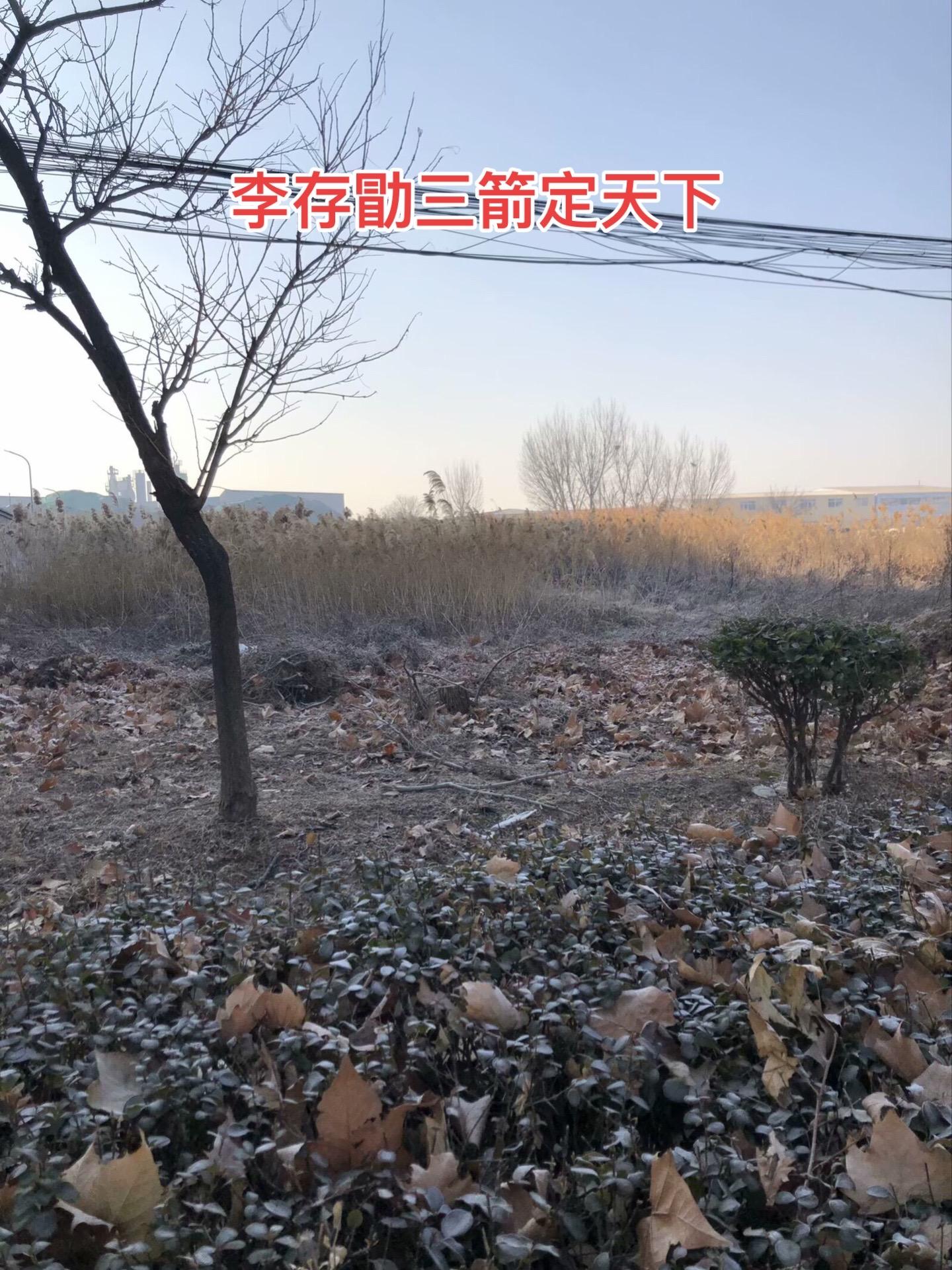 晋王李克用曾经帮助过朱温打退强敌，朱温却恩将仇报，差点砍死李克用。此后...