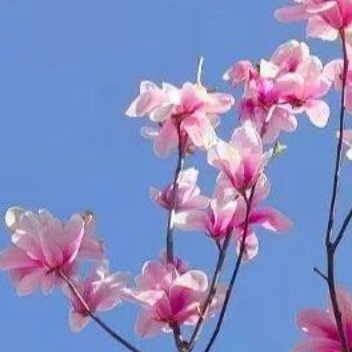 正能量人做事，尽心尽力就好。结果如何，不在你手，而在时势。能改就改，不能改就放。