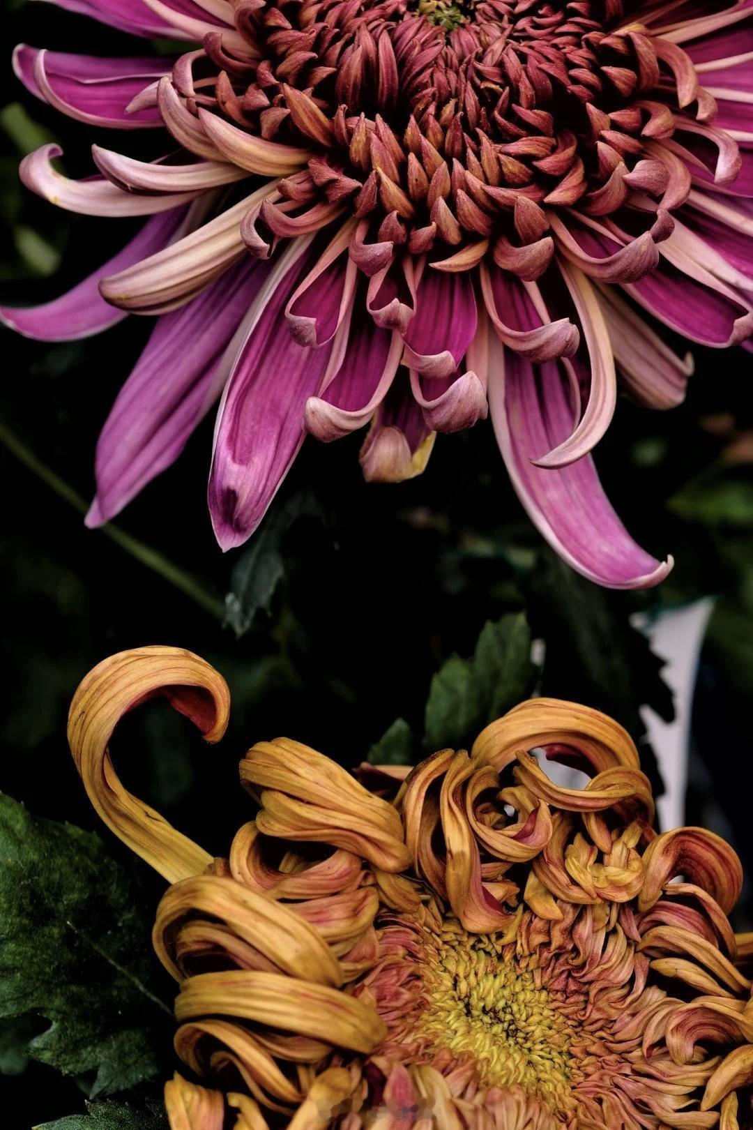 【说真话的好处是，你不必记得你曾经说过什么】
        说真话真的太省心了