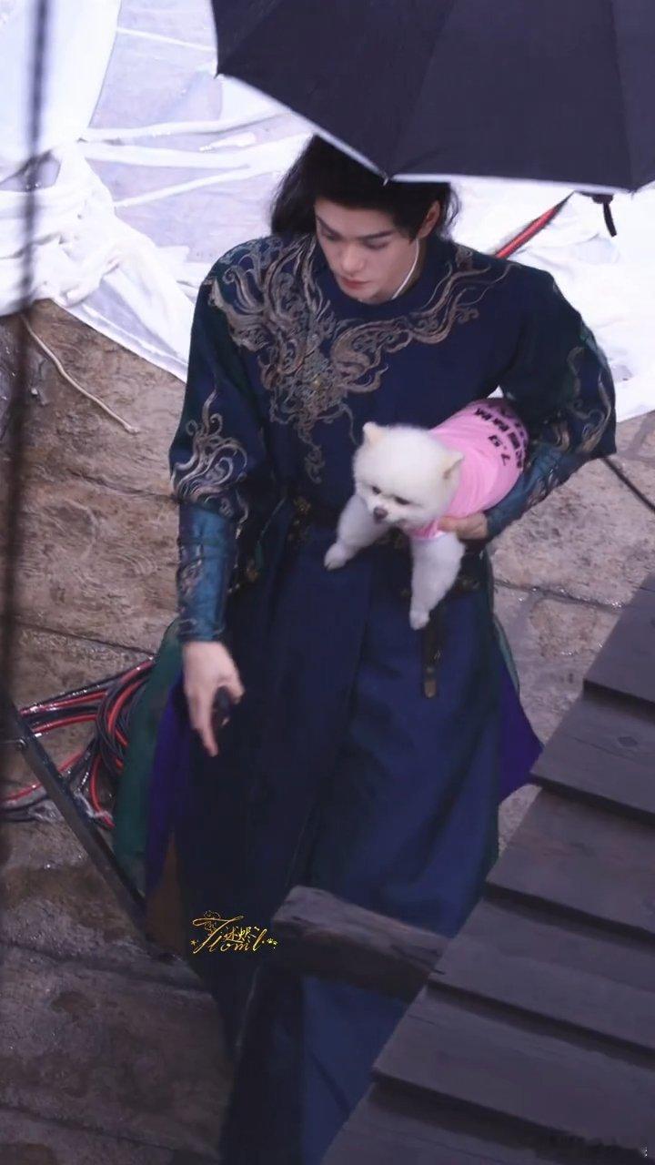 孟子义孟子义的狗探班曾舜晞孟子义的狗巧克力剧宣到了曾舜晞剧组 巧克力我呀，替主人
