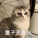 怀春热聊历史