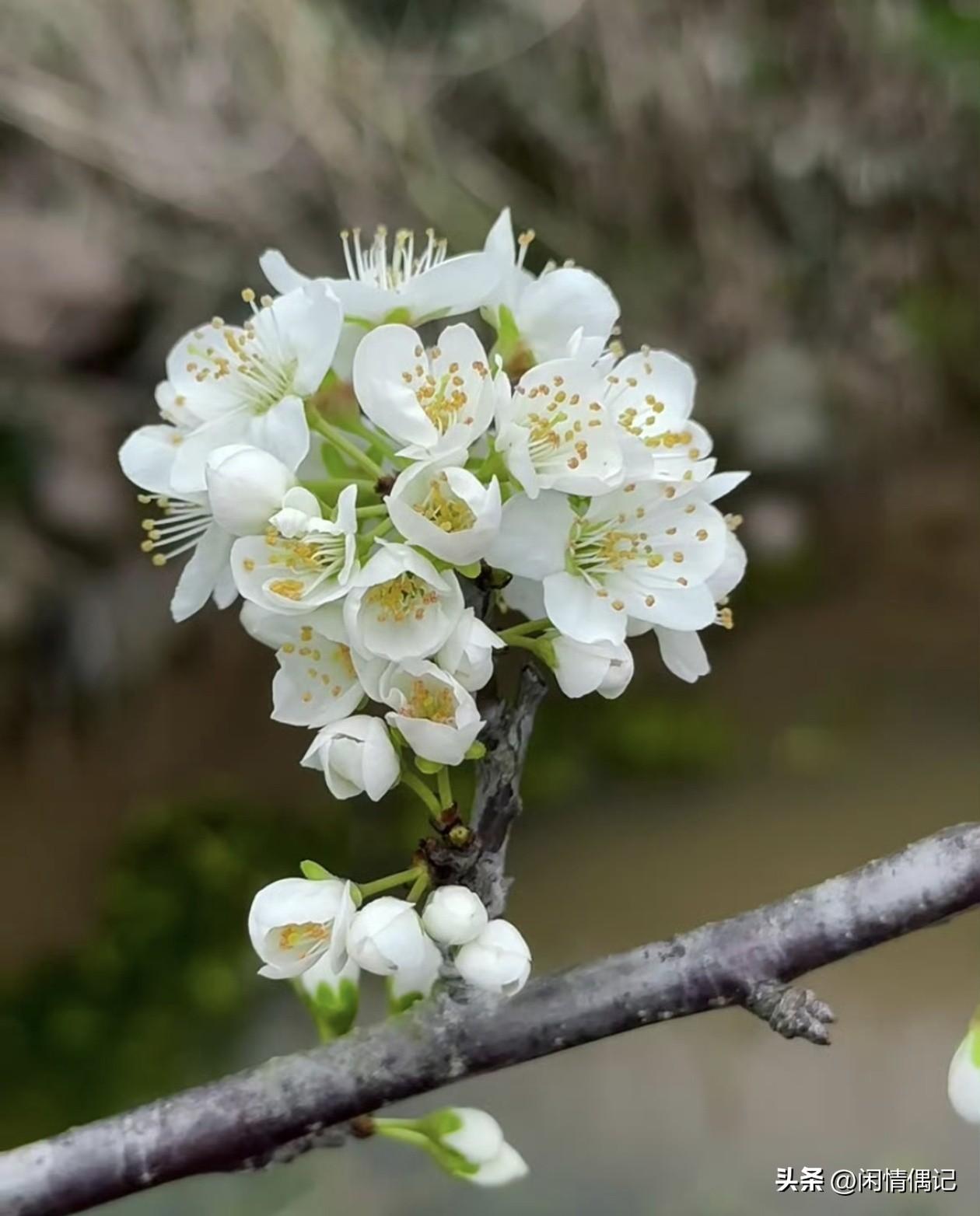 杨绛先生说:人与人之间，不管是什么关系，没有沟通，就没有延续，没有联系就没有来往