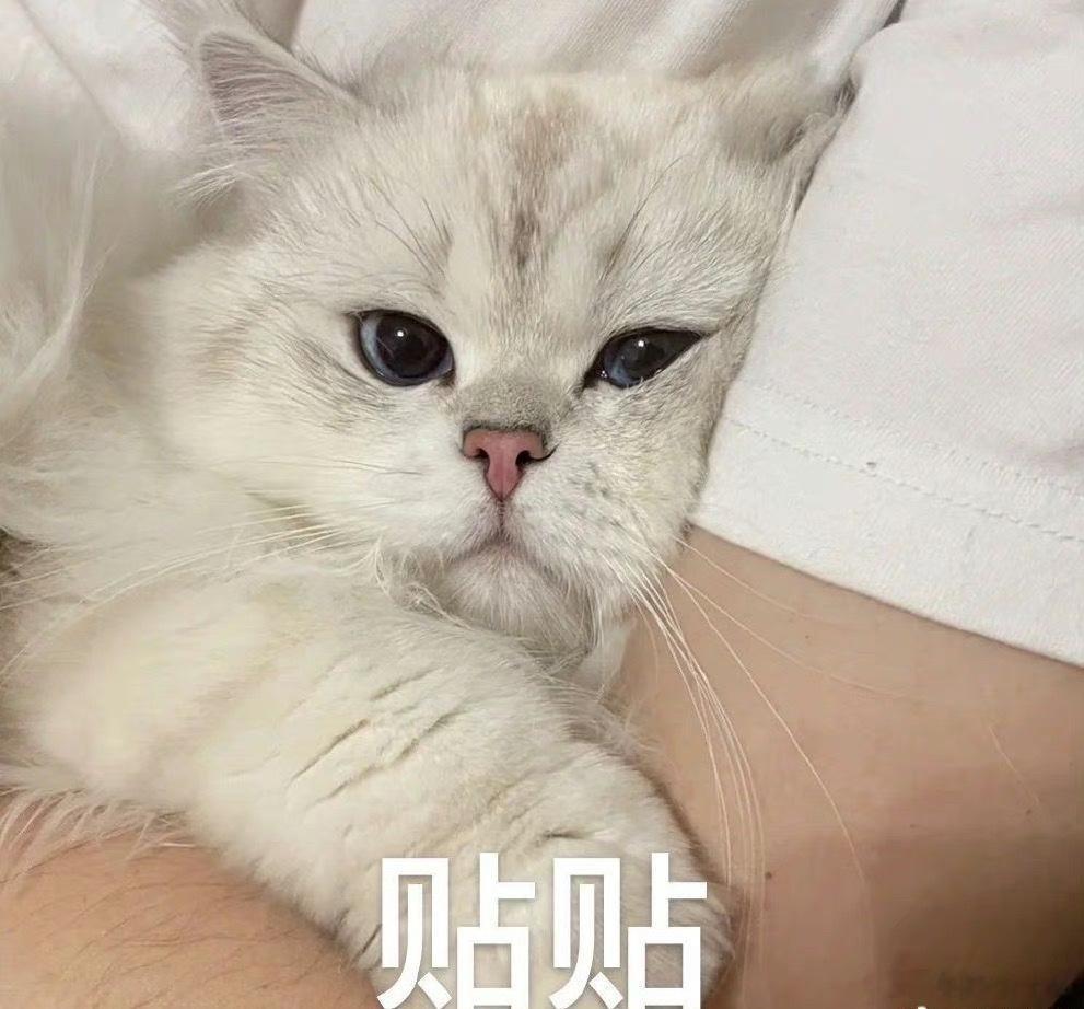 给宝贝们打铁留一条～ ​​​