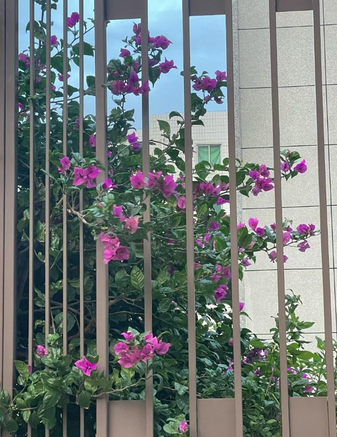 退休后不诉苦、不炫耀，那些在朋友圈“装死”的女人，后来都怎样了？
发现一个有意思