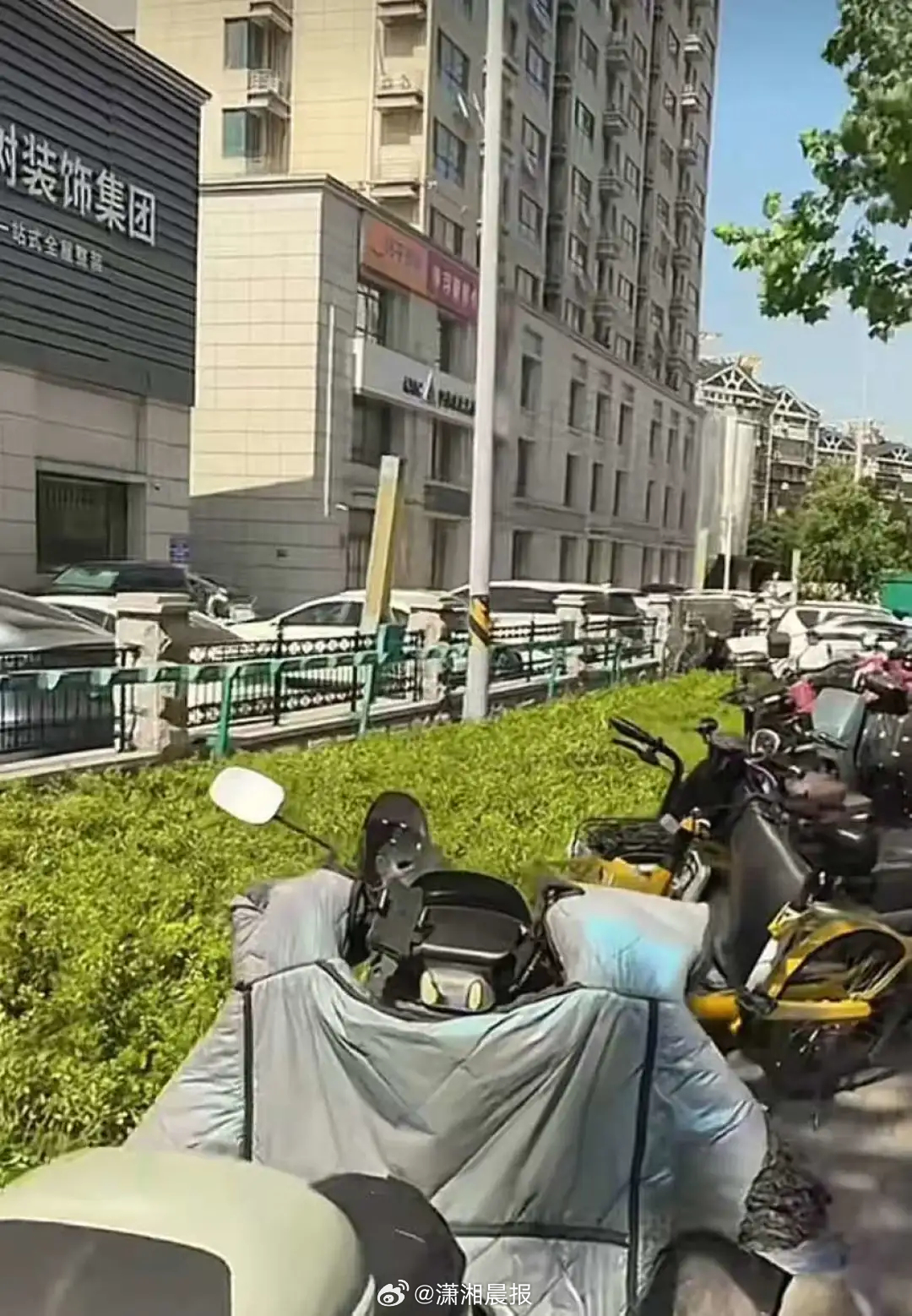 【济南一地#整排充电桩接口被绿化带阻隔#，#多方回应整排充电口被绿化带阻隔#：先