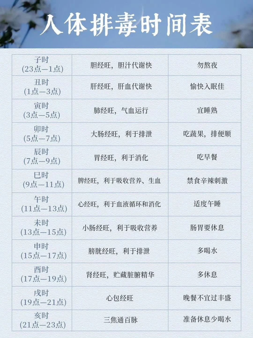 人体排毒时间表