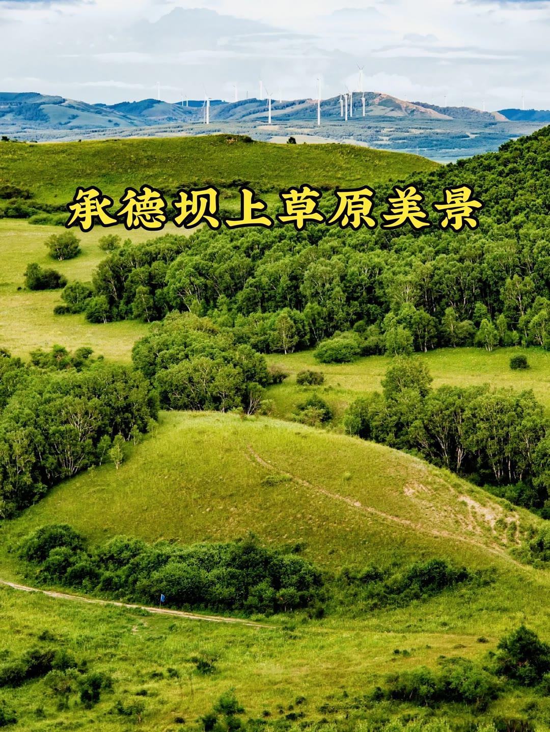 你觉得做家务能替代运动吗