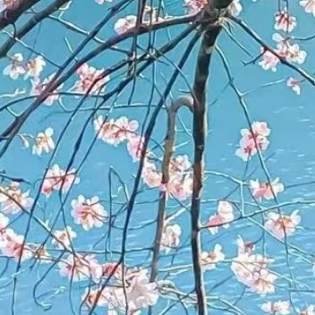 阳光信用 🌻每日一善 在这个快节奏的世界里，让我们偶尔放慢脚步，感受生活的细腻