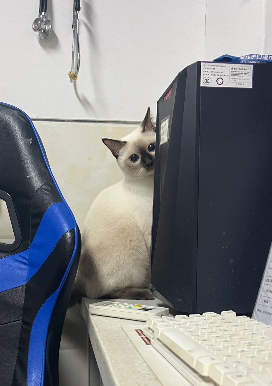 你看不见我看不见我