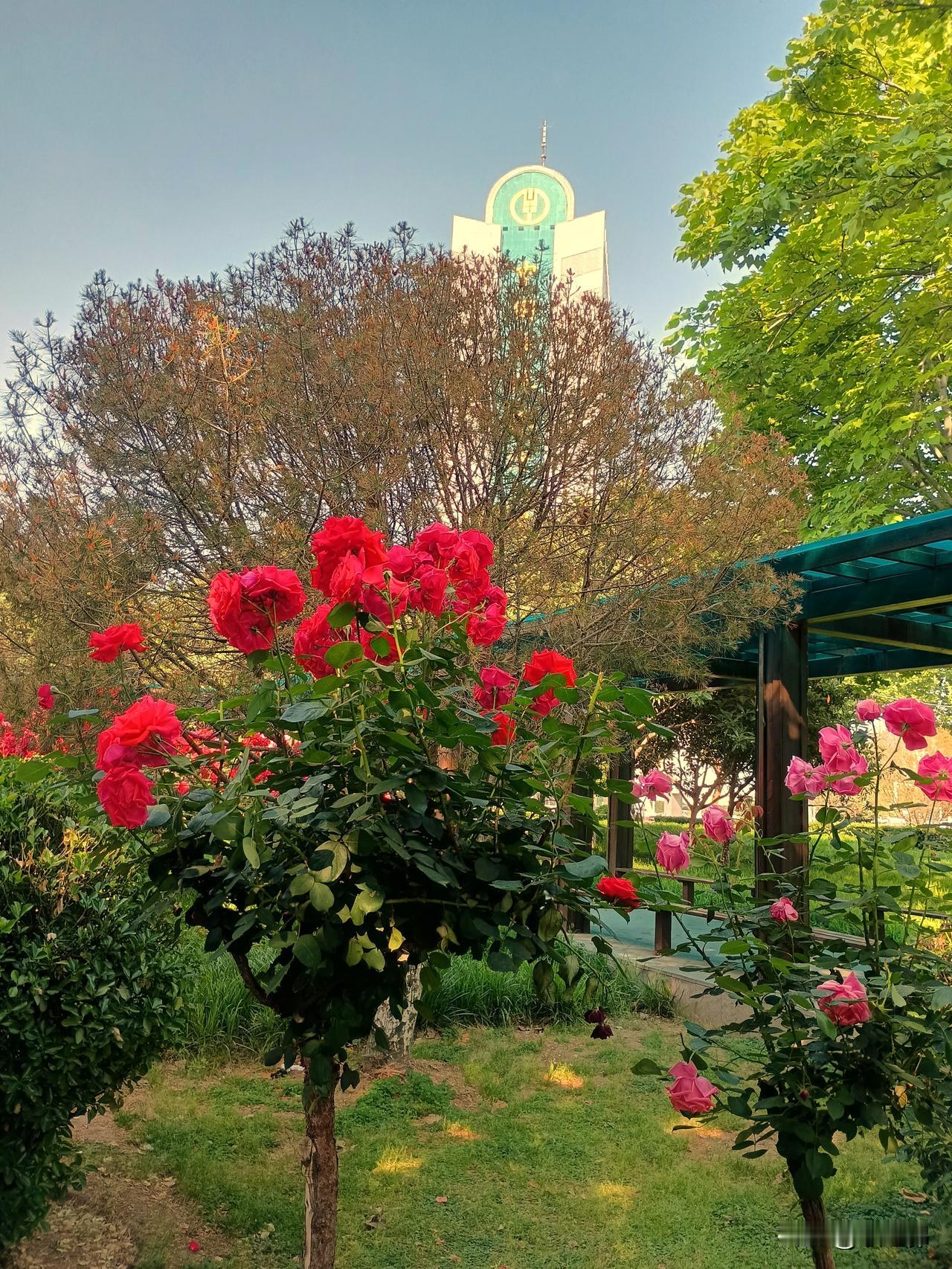 梨花愁细雨
柳叶喜轻风
槐树花开香五月，诚邀下联 
槐树花开香五月
桂蕾绽放馥三