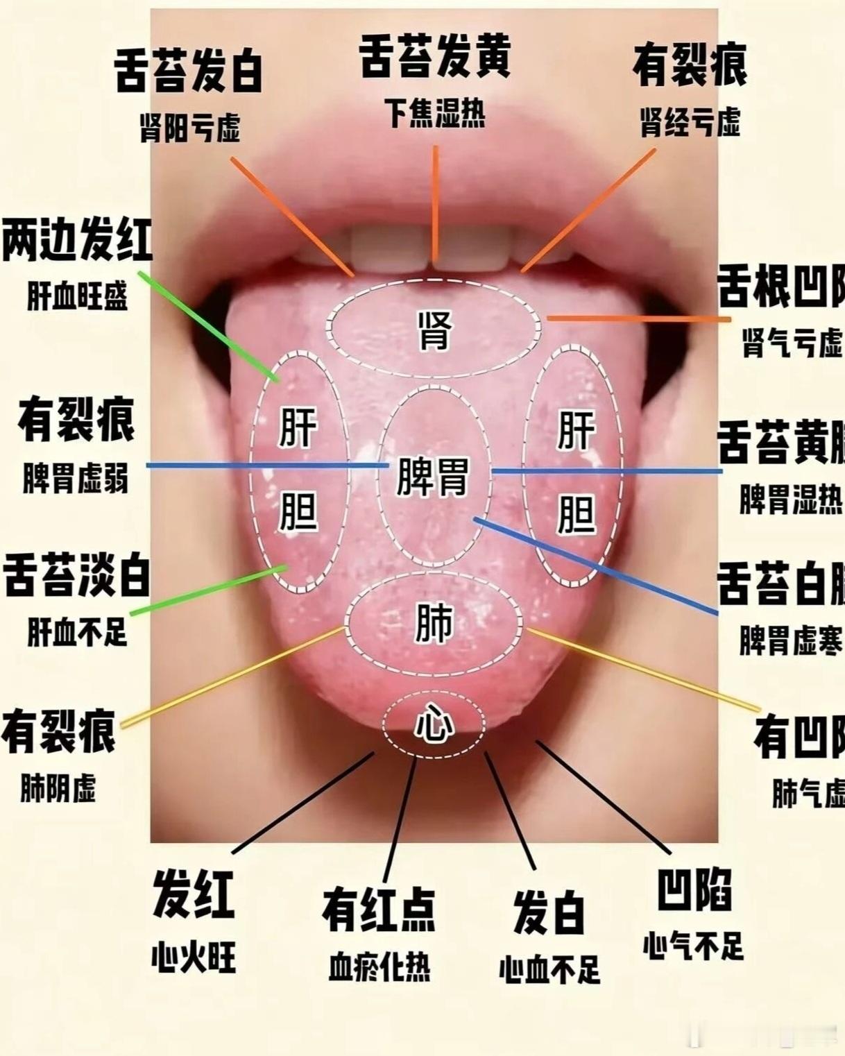 中医脉诊不传之秘：左升右降，一摸脉、一看舌，虚实寒热全看清很多人学脉诊，越学越复