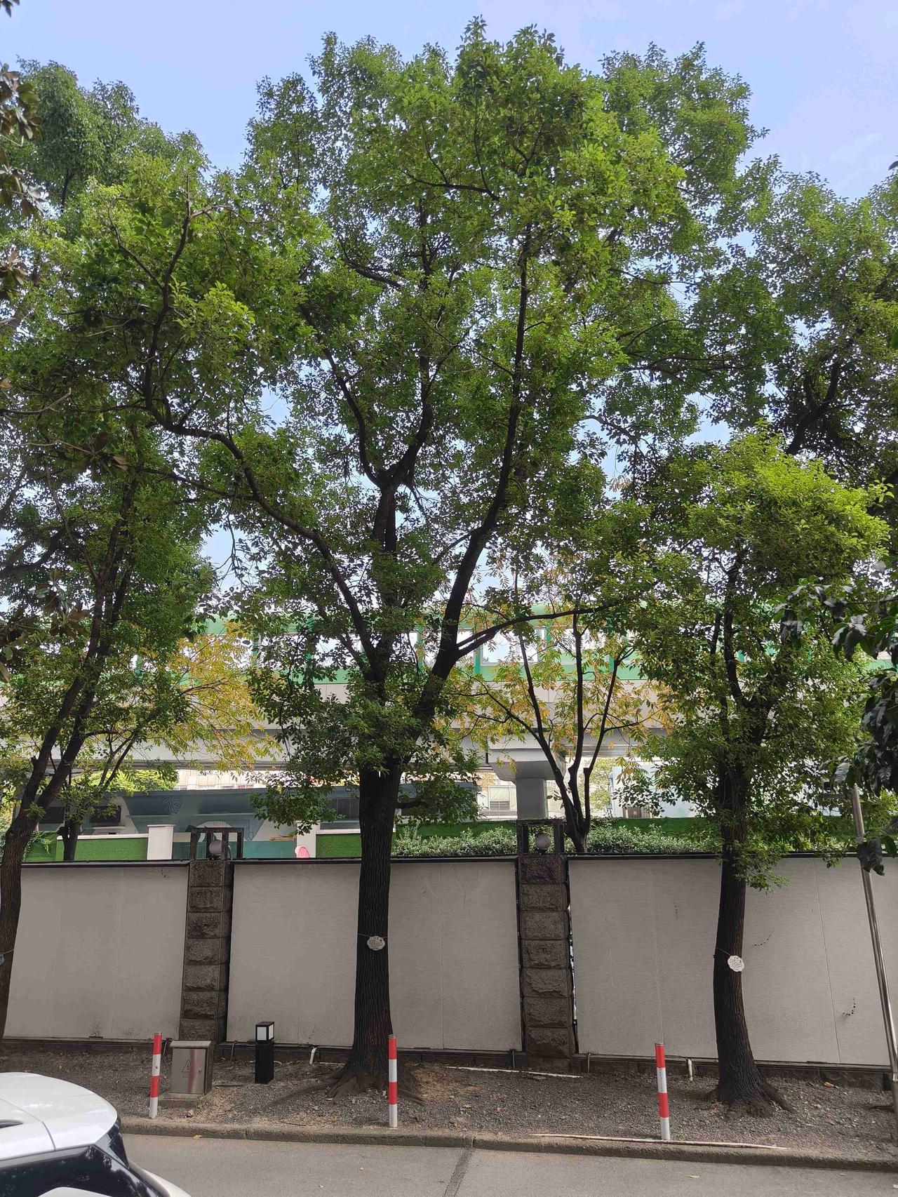 我的今日状态：😁轻松愉快
我这里的天气：🌤️多云