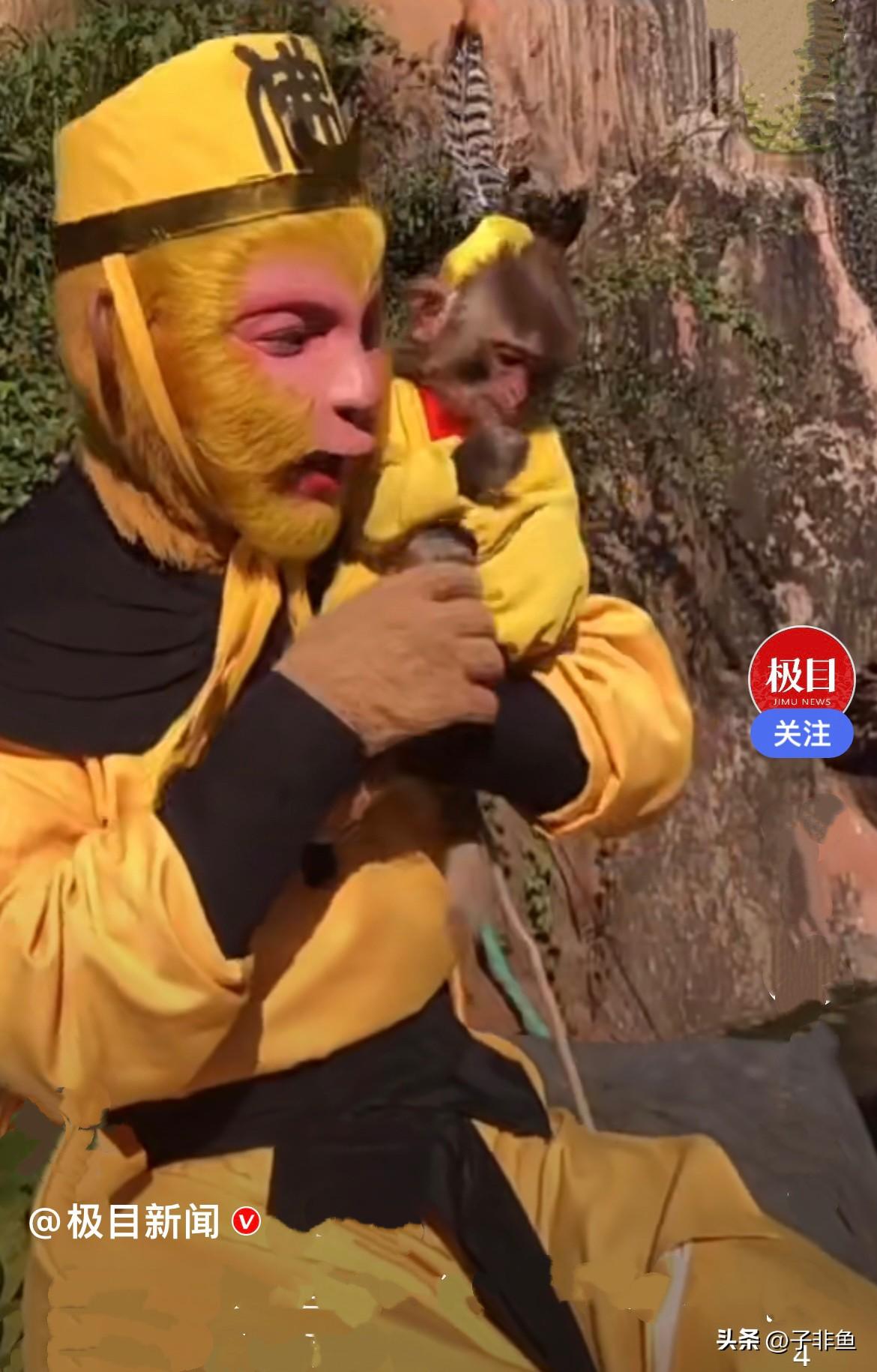 近日，云南昆明一只小猴子在路边玩耍，迎面碰到了穿着全套美猴王戏服、扮相逼真的表演